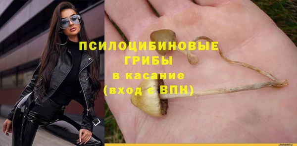 стафф Кодинск