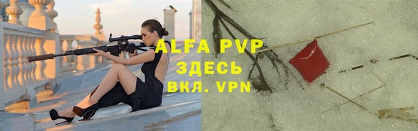 гашик Коряжма