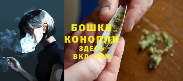 гашик Коряжма