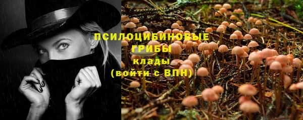 молекула духа Корсаков