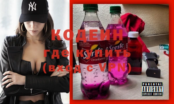 гашик Коряжма