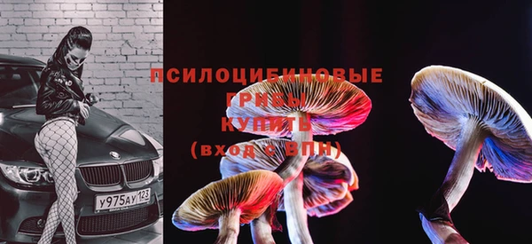 винт Козловка