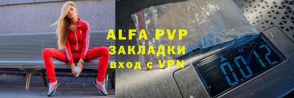 гашик Коряжма