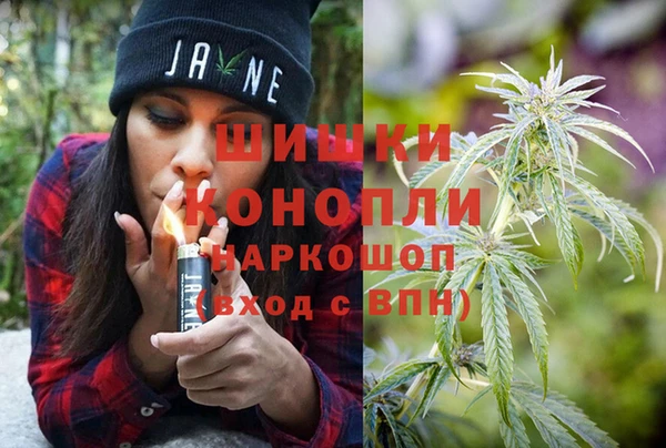гашик Коряжма